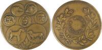 Netherlands Historical medal Maastrichter Hundesportverein -