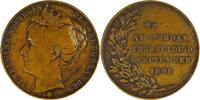 Netherlands Historical medal Einweihung Königin Wilhelmina - H. Baars / Menger -