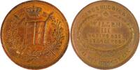 Netherlands Historical medal Krönung von König Willem III in Amsterdam / J. P. Schouberg -