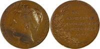 Netherlands Historical medal Einweihung Königin Wilhelmina - H. Baars / Menger -
