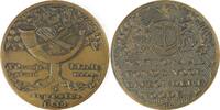 Netherlands Historical medal Geburt von Prinzessin Irene - Nationaal Fonds Bijzondere Nooden -