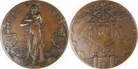 Netherlands Historical medal Geboorte van Prinses Juliana (1909 - 2004) - Door J.C Wienecke - Zeldzaam -