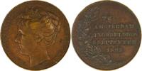 Netherlands Historical medal Einweihung Königin Wilhelmina - H. Baars / Menger -