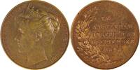 Netherlands Historical medal Einweihung Königin Wilhelmina - H. Baars / Menger -