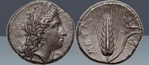 LUCANIA. Stater (Nomos) Metapontion. Circa 330-290 BC. XF. *Beautiful style, Well centered*