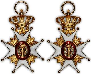 A lot under spot! Sweden Order of the Vasa (gold!)