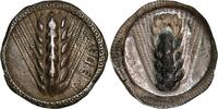 Stater 510-470 v. Chr. from Metapontion in Lucania (510-470 BC)