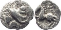 Kleinsilber der Vindeliker Kleinsilber Typ Stachelhaar a var 2 (Haare bogen- bzw. kronenförmig aufgebogen).