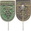 Pfalz-Pirmasens, Stadt Abzeichen -