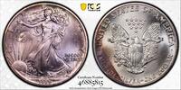 1 dollar USA 1989, PCGS MS67, American Silver Eagle RAINBOW TONED -
