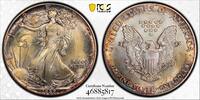 1 dollar USA 1987, PCGS MS66, American Silver Eagle RAINBOW TONED -