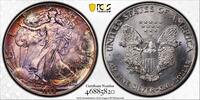 1 dollar USA 1988, PCGS MS66, American Silver Eagle RAINBOW TONED -