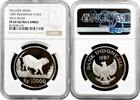 ASIA 10000 rupiah Indonesia 1987, NGC PF69 UC, Wild Boar silver coin -