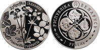 Belarus 1 ruble 2017, PROOF, Regenerated Plants - Potentilla rupestris -