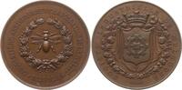 Frankreich, Elsass, Stadt Mühlhausen Bronzemedaille v. Caqué, 50 J. Industriegesellschaft, Societé Industrielle Mulhouse, Bienenkorb -