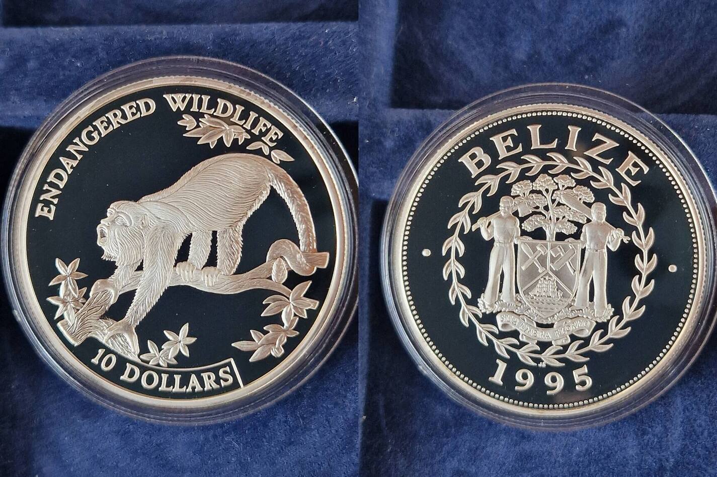 10 Dollars 1995 Belize Guatemala Br llaffe Pp MA Shops 10-dollars-1995-belize-guatemala-br-llaffe-pp-ma-shops