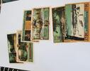 Friedrichsbrunn 2 x 25 50 75 Pfennig Mehl 394 -