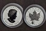 5 Dollars Maple Leaf Privy Pandabär -