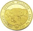 Somalia 1000 Schilling 2020 African Wildlife,RAR! Auflage 100 Stück Polierte Platte (PP) Proof