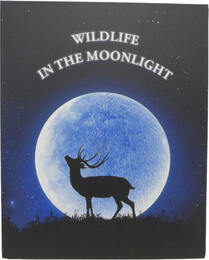 Ghana 12x 2 Cedis 2022 Wildlife in the Moonlight / Complete Bundle Stempelglanz