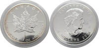 Kanada 5 Dollar Silber 2004 Elisabeth II. Maple Leaf fast Stgl, leichte Patina,