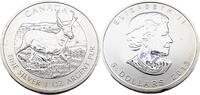Kanada 5 Dollar / 1 Oz Kanadische Tierwelt - Amerikanische Antilope -