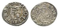 Haus Habsburg, Denar Rudolph II., 1576-1612,