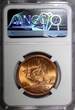 1968 Penny 1968 Ireland Republic Bronze  NGC MS66 RD NICE RED Hen with chicks KM11 (3)