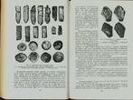 Archaeological research of the North-Western Black Sea. Uncertified