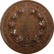 BRONZE GERMANY 1884  MEDAL WITTENBERG Industrial Exhibition UNC 35.4mm (23 917)