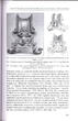 cent Myth, Cult, Ritual in the Northern Black Sea Pontic Area during 7th-4th  B.C
