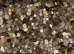 Unknown Pound 1900’s to Present. Lot 1Lb  World Foreign Coins Unsearched Free shipping! Uncertified