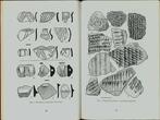 Archaeological research of the North-Western Black Sea. Uncertified