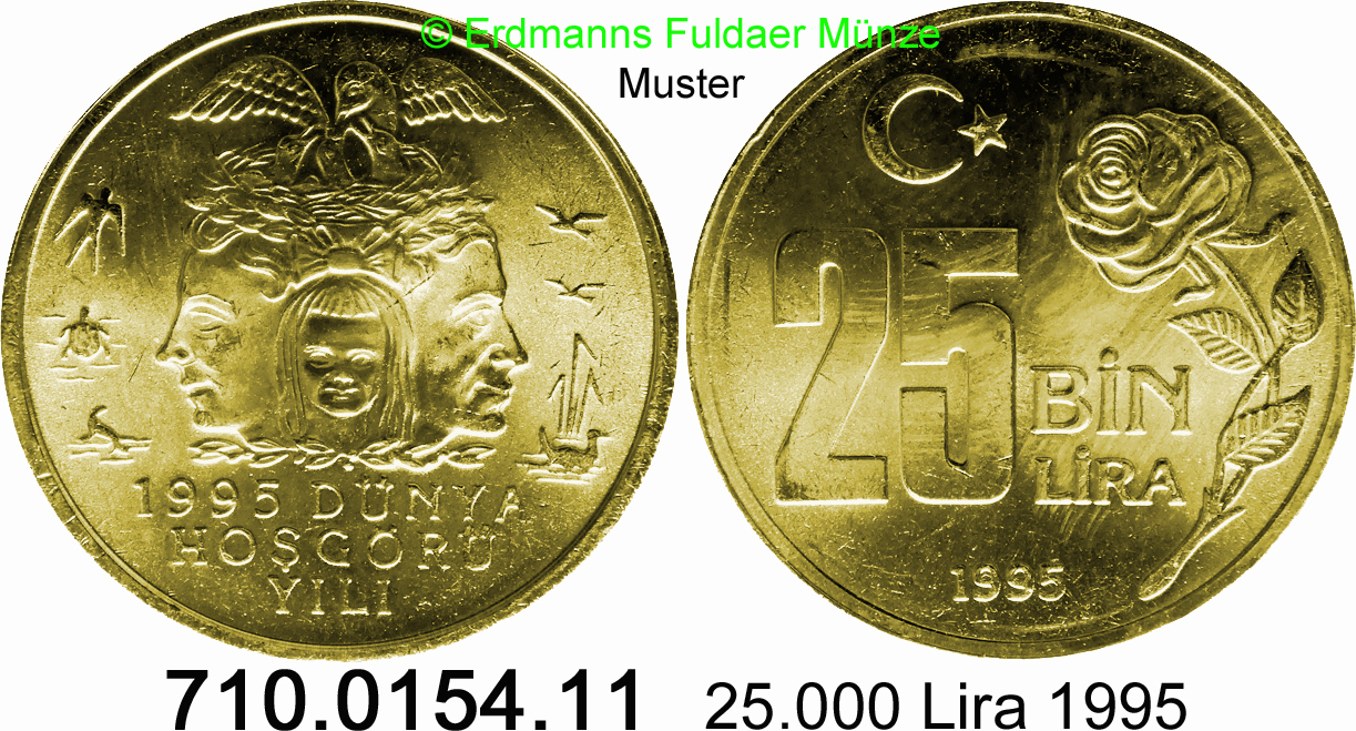 t-rkei-25-bin-lira-25000-lira-1995-568-km1043-jahr-der-toleranz-710-0154-11-unc-ma-shops