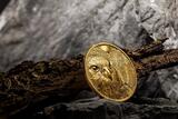 25000 Togrog 2023 MONGOLIAN FALCON 1 oz Pure Gold Coin