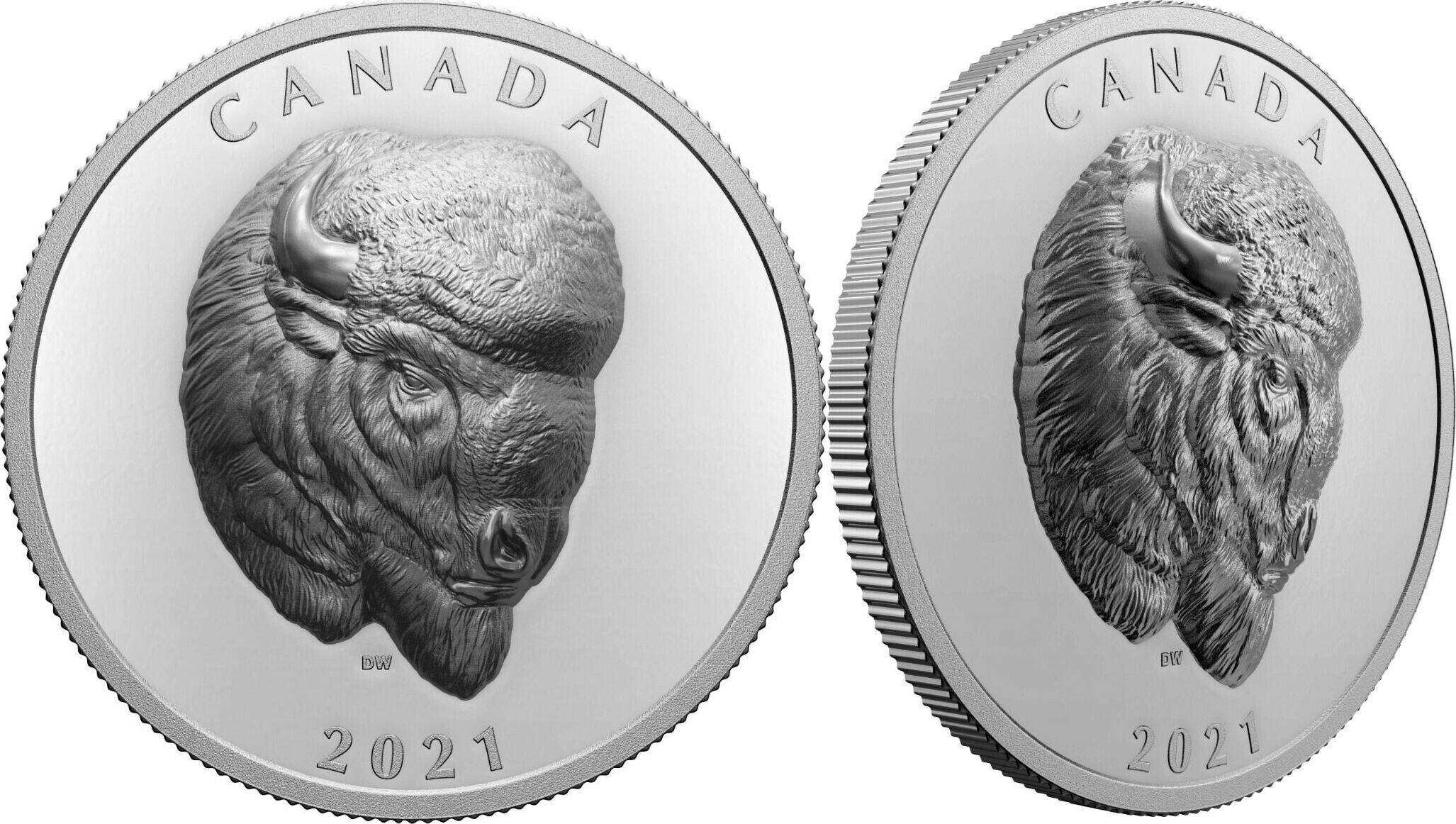 Canada Coins Canada 2021 25$ Bold Bison 1 oz Pure Silver Coin EHR Royal ...