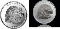 Canada Coins Canada 25$ Proud Bald Eagle 1 oz. Pure Silver EHR Coin Royal Canadian Mint -