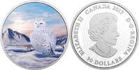 World Coins 2018 $ Canada $30 Arctic Animals and Northern Lights Snowy Owl Pure Silver Coin -
