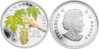Canada Coins Canada 20$ Crystal Raindrop Series Maple Leaf Silver Coin Swarovski 4 -