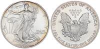 USA 1 Dollar 1 Unze Silber American Eagle - Liberty - 1 Unze Feinsilber -