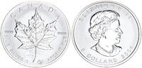 Kanada 5 Dollar mit Beizeichen 1 oz Silber Maple Leaf - Privy Mark Lunar Affe