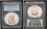 The United States of America $1 USA One Dollar 1991 - 1 $ American Eagle 1 oz Feinsilber -