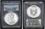 The United States of America $1 USA One Dollar - 1 $ American Eagle 1 oz Feinsilber -