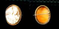 585 Gold Brosche, Gemme, 585 Gold, Nadel aus Silber, 7,88g, ca. 4cm groß -