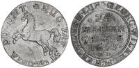 Braunschweig Lüneburg Celle 24 Mariengroschen Georg Wilhelm 1665-1705 -