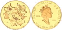 Kanada 350 Dollar Flower Dogwood - Gold - -