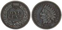 USA 1 Cent Indian Head -