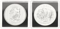 Kanada 5 Dollar Wildlife - Bison -