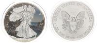 USA 1 Dollar American Eagle Liberty Vasco Núñez de Balboa coloriert -