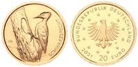 Bundesrepublik Deutschland 20 Euro Schwarzspecht 1/8 Unze Gold -